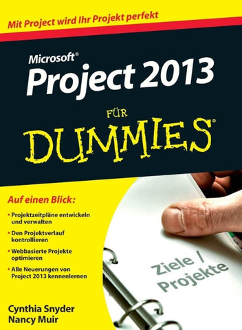 Microsoft Project 2013 für Dummies