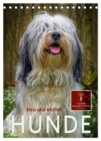 Hunde - treu und ehrlich (Tischkalender 2027 DIN A5 hoch), CALVENDO Monatskalender