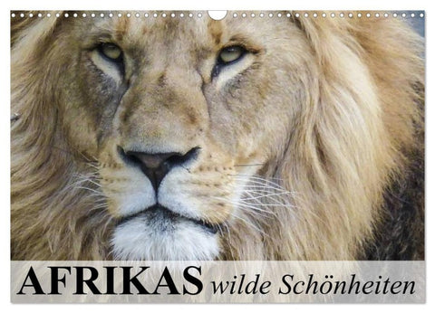 Afrikas wilde Schönheiten (Wandkalender 2027 DIN A3 quer), CALVENDO Monatskalender