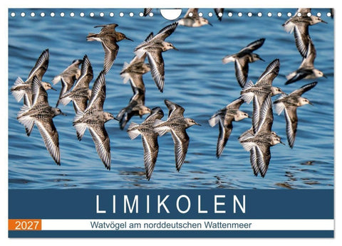 Limikolen - Watvögel am norddeutschen Wattenmeer (Wandkalender 2027 DIN A4 quer), CALVENDO Monatskalender