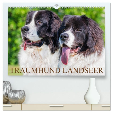 Traumhund Landseer (hochwertiger Premium Wandkalender 2027 DIN A2 quer), Kunstdruck in Hochglanz