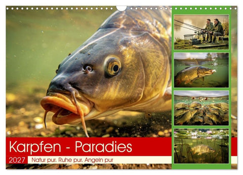 Karpfen - Paradies (Wandkalender 2027 DIN A3 quer), CALVENDO Monatskalender