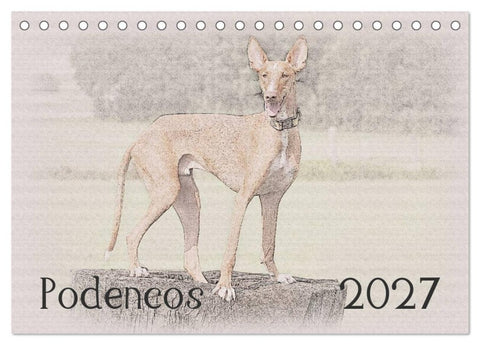 Podencos 2027 (Tischkalender 2027 DIN A5 quer), CALVENDO Monatskalender