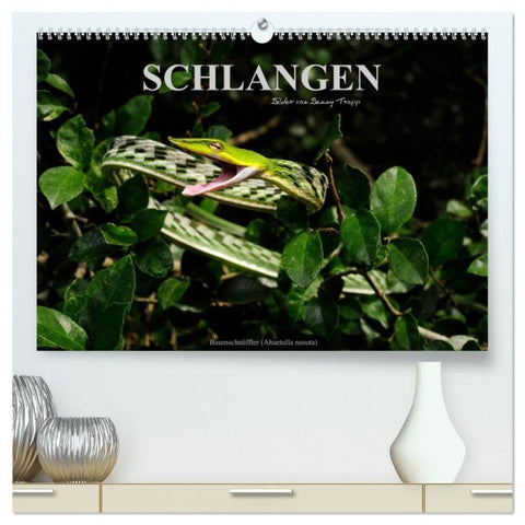Schlangen (hochwertiger Premium Wandkalender 2027 DIN A2 quer), Kunstdruck in Hochglanz