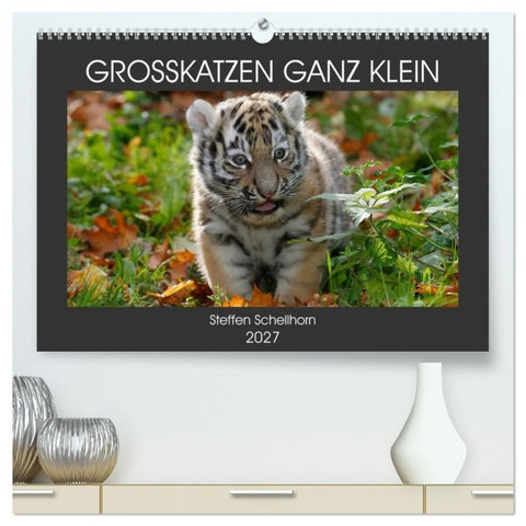 GROSSKATZEN GANZ KLEIN (hochwertiger Premium Wandkalender 2027 DIN A2 quer), Kunstdruck in Hochglanz