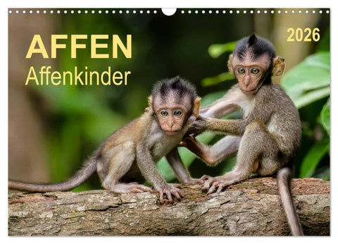 Affen - Affenkinder (Wandkalender 2026 DIN A3 quer), CALVENDO Monatskalender