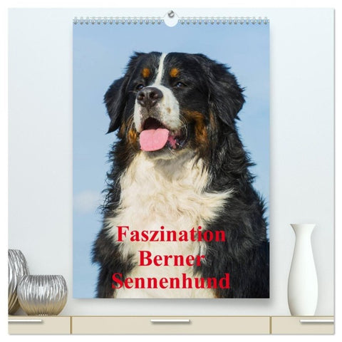 Faszination Berner Sennenhund (hochwertiger Premium Wandkalender 2027 DIN A2 hoch), Kunstdruck in Hochglanz