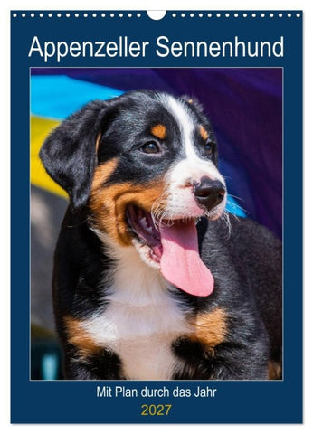 Appenzeller Sennenhund - Mit Plan durch das Jahr (Wandkalender 2027 DIN A3 hoch), CALVENDO Monatskalender