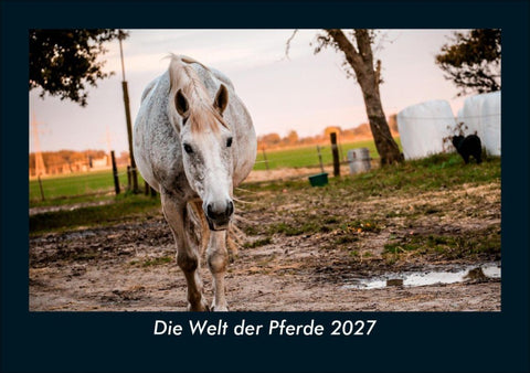 Die Welt der Pferde 2027 Fotokalender DIN A5