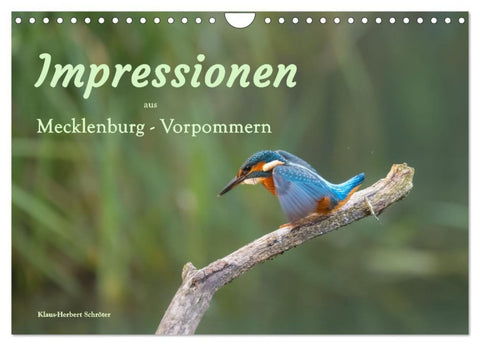 Impressionen aus Mecklenburg - Vorpommern (Wandkalender 2027 DIN A4 quer), CALVENDO Monatskalender