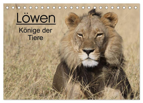Löwen - Könige der Tiere (Tischkalender 2027 DIN A5 quer), CALVENDO Monatskalender