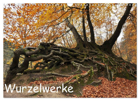 Wurzelwerke (Wandkalender 2026 DIN A3 quer), CALVENDO Monatskalender