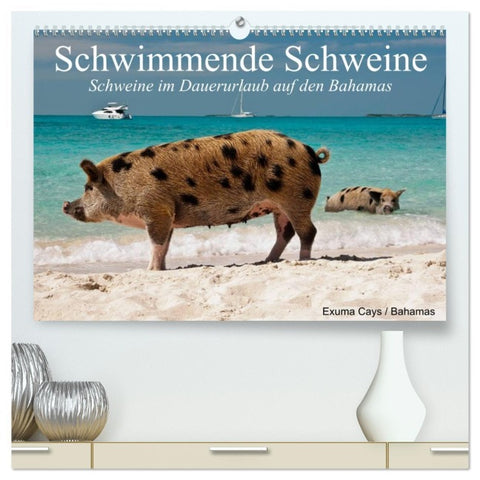 Schwimmende Schweine (hochwertiger Premium Wandkalender 2026 DIN A2 quer), Kunstdruck in Hochglanz