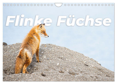 Flinke Füchse (Wandkalender 2026 DIN A4 quer), CALVENDO Monatskalender