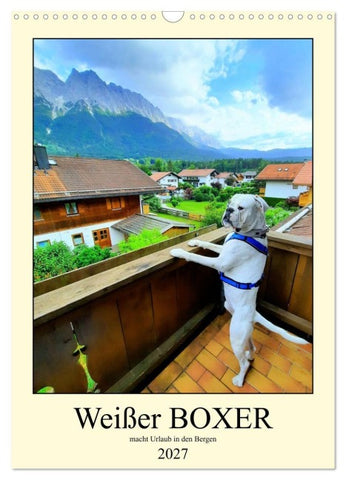 Weißer BOXER im Urlaub (Wandkalender 2027 DIN A3 hoch), CALVENDO Monatskalender
