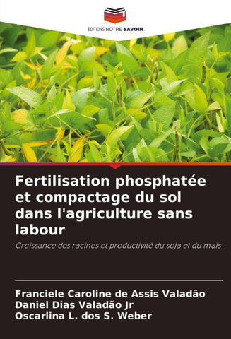 Fertilisation phosphatée et compactage du sol dans l'agriculture sans labour
