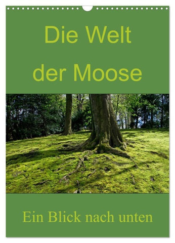 Die Welt der Moose. Ein Blick nach unten (Wandkalender 2027 DIN A3 hoch), CALVENDO Monatskalender