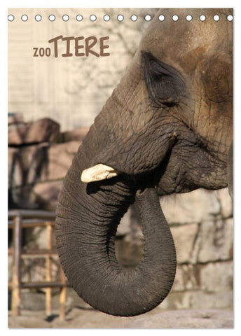 Zootiere (Tischkalender 2026 DIN A5 hoch), CALVENDO Monatskalender