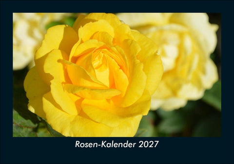 Rosen-Kalender 2027 Fotokalender DIN A5