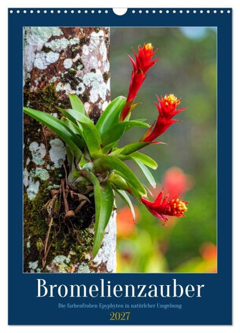 Bromelienzauber (Wandkalender 2027 DIN A3 hoch), CALVENDO Monatskalender