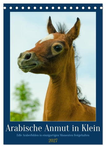 Arabische Anmut in Klein (Tischkalender 2027 DIN A5 hoch), CALVENDO Monatskalender