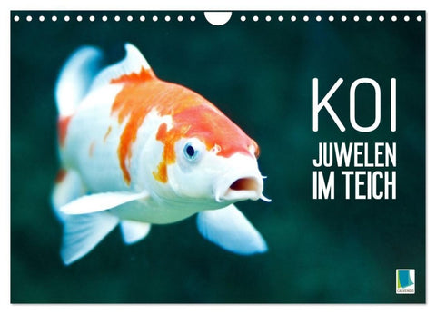 Koi: Juwelen im Teich (Wandkalender 2027 DIN A4 quer), CALVENDO Monatskalender