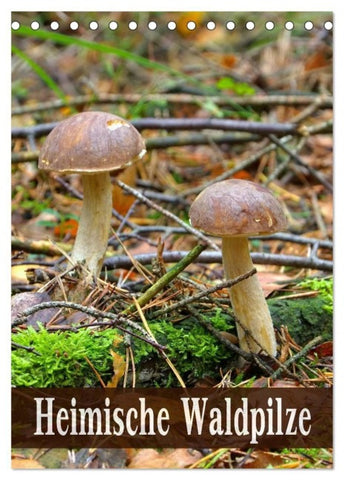 Heimische Waldpilze (Tischkalender 2027 DIN A5 hoch), CALVENDO Monatskalender