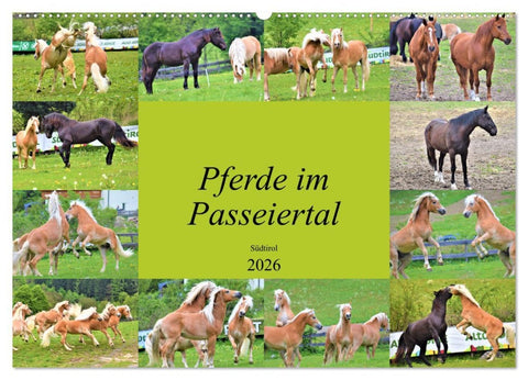 Pferde im Passeiertal (Wandkalender 2026 DIN A2 quer), CALVENDO Monatskalender