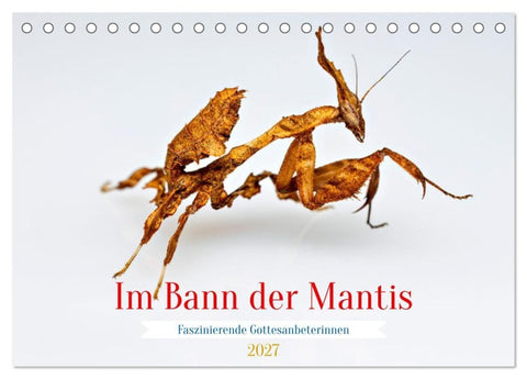 Im Bann der Mantis (Tischkalender 2027 DIN A5 quer), CALVENDO Monatskalender