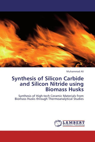 Synthesis of Silicon Carbide and Silicon Nitride using Biomass Husks