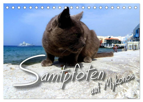 SAMTPFOTEN auf Mykonos (Tischkalender 2027 DIN A5 quer), CALVENDO Monatskalender