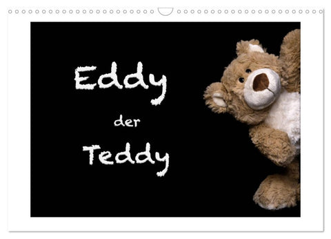 Eddy, der Teddy (Wandkalender 2026 DIN A3 quer), CALVENDO Monatskalender