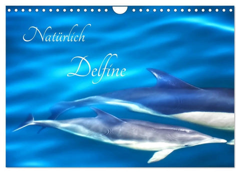 Natürlich Delfine (Wandkalender 2027 DIN A4 quer), CALVENDO Monatskalender