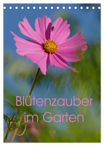 Blütenzauber im Garten (Tischkalender 2026 DIN A5 hoch), CALVENDO Monatskalender