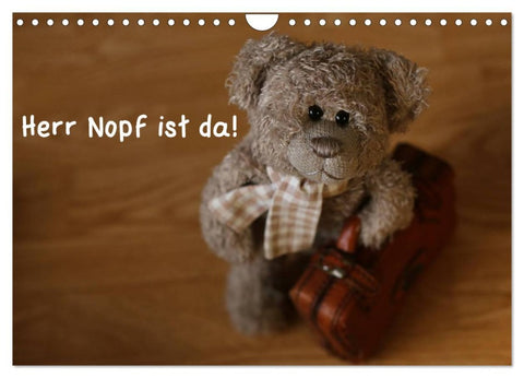 Herr Nopf ist da! (Wandkalender 2026 DIN A4 quer), CALVENDO Monatskalender