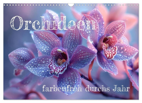 Orchideen - farbenfroh durchs Jahr (Wandkalender 2027 DIN A3 quer), CALVENDO Monatskalender