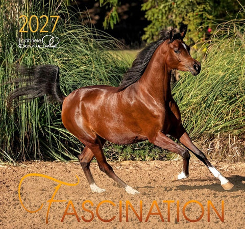 Fascination 2027