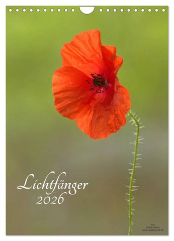 Lichtfänger (Wandkalender 2026 DIN A4 hoch), CALVENDO Monatskalender