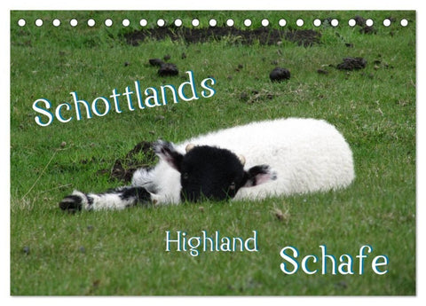 Schottlands Highland Schafe (Tischkalender 2027 DIN A5 quer), CALVENDO Monatskalender