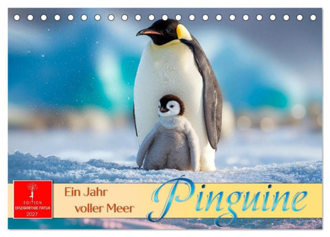 Pinguine - ein Jahr voller Meer (Tischkalender 2027 DIN A5 quer), CALVENDO Monatskalender