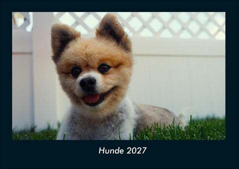 Hunde 2027 Fotokalender DIN A4