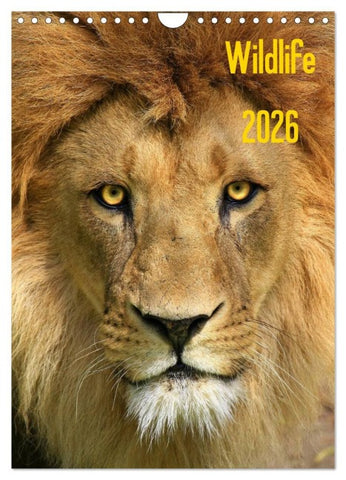 Wildlife 2026 (Wandkalender 2026 DIN A4 hoch), CALVENDO Monatskalender