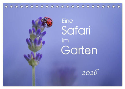 Eine Safari im Garten (Tischkalender 2026 DIN A5 quer), CALVENDO Monatskalender