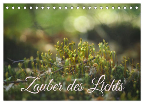 Zauber des Lichts (Tischkalender 2026 DIN A5 quer), CALVENDO Monatskalender