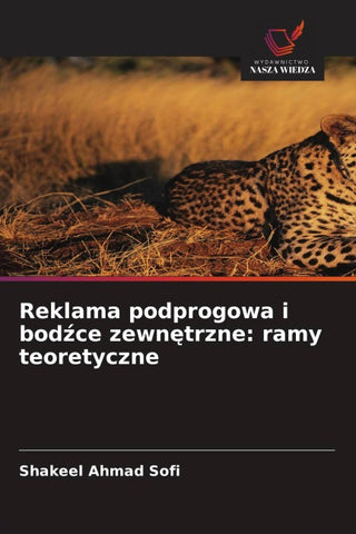 Reklama podprogowa i bod¿ce zewn¿trzne: ramy teoretyczne