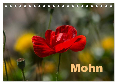 Mohn (Tischkalender 2026 DIN A5 quer), CALVENDO Monatskalender