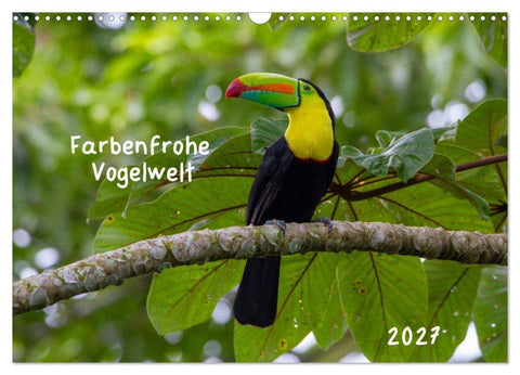 Farbenfrohe Vogelwelt (Wandkalender 2027 DIN A3 quer), CALVENDO Monatskalender