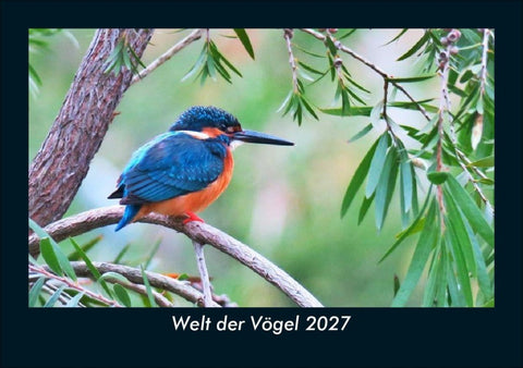 Welt der Vögel 2027 Fotokalender DIN A5