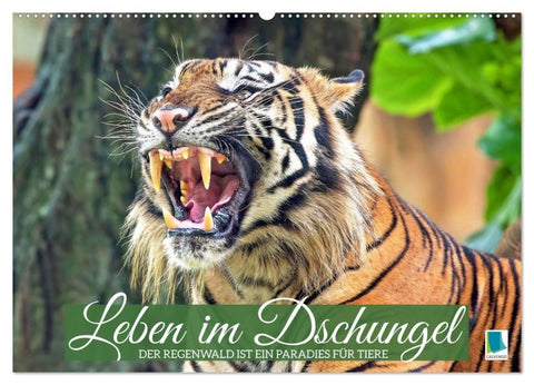 Leben im Dschungel: Der Regenwald ist ein Paradies für Tiere (Wandkalender 2027 DIN A2 quer), CALVENDO Monatskalender