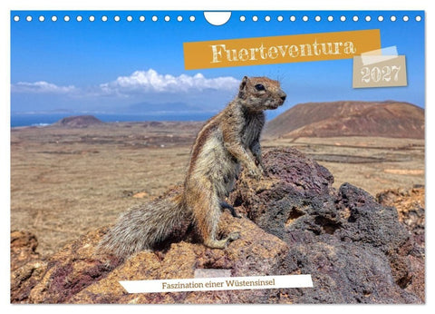 Fuerteventura - Faszination einer Wüsteninsel (Wandkalender 2027 DIN A4 quer), CALVENDO Monatskalender